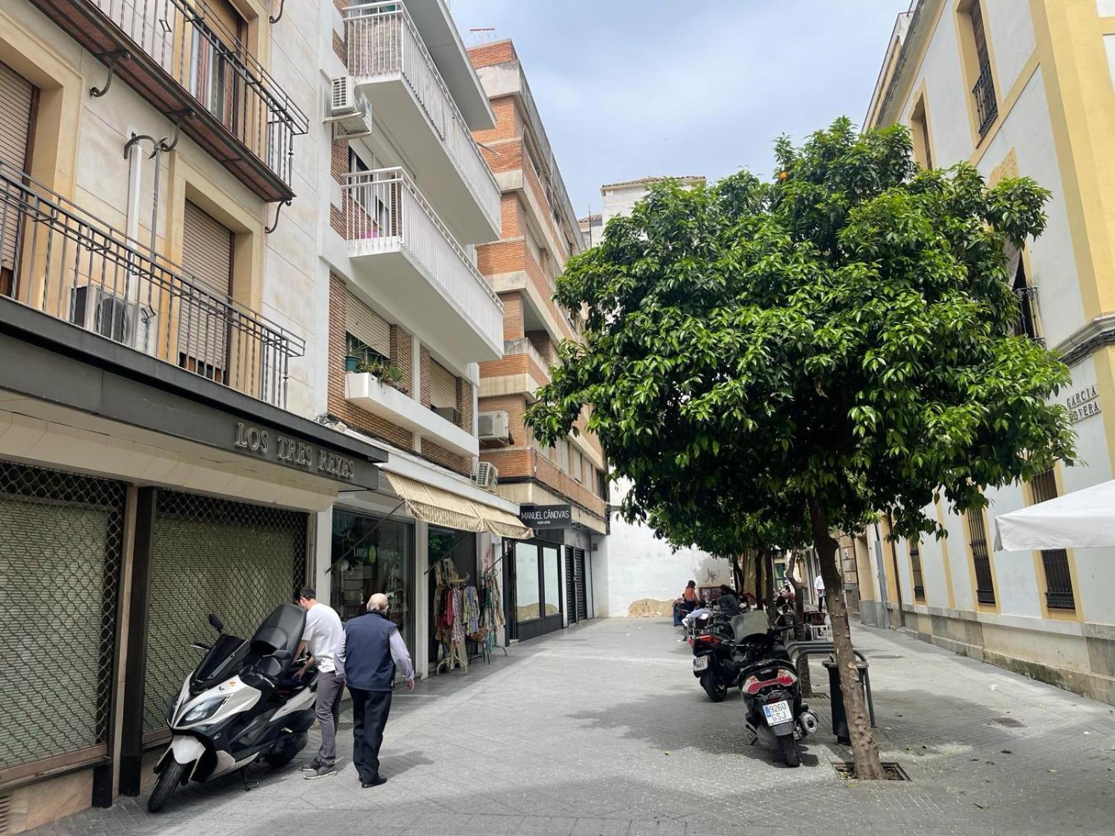 Apartamentos Azonaicas Centro Tendillas Córdoba Eksteriør billede